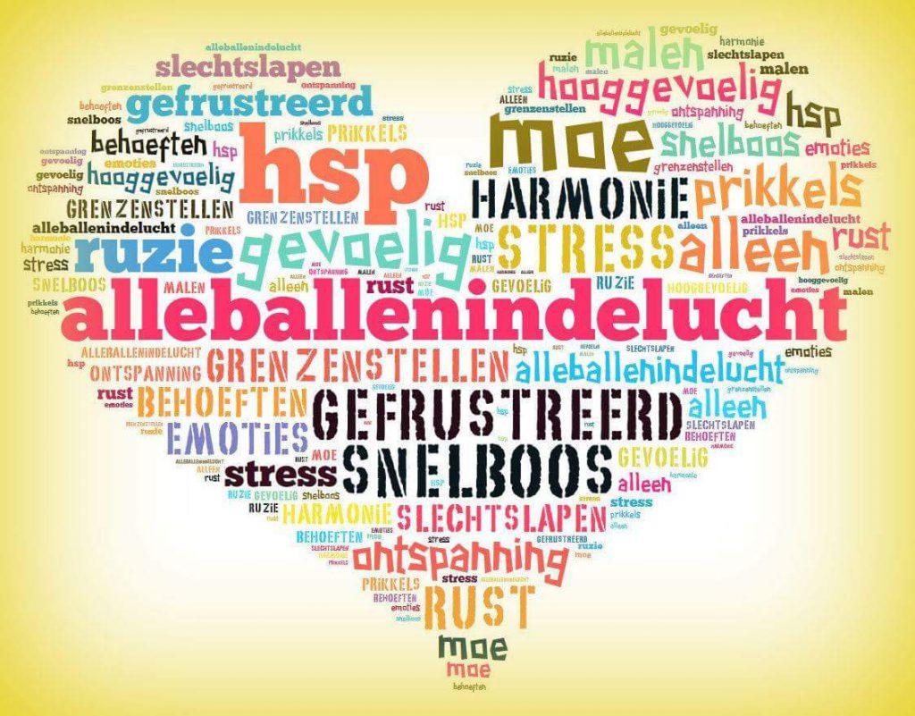 FB_IMG_1458799396728 Hoogsensitief, hoogbegaafd, hulpverlening, jeugd kinderen Hospescoaching