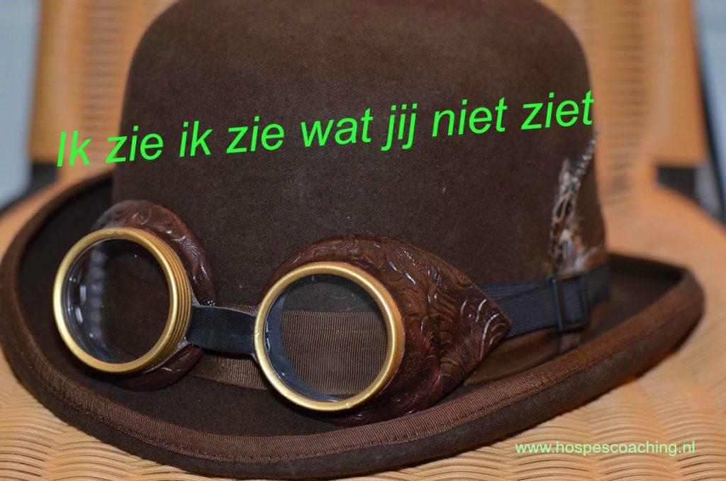 steampunk-1609396_1920-ik-zie-ik-zie-wat-jij-niet-ziet-bewerkt Autisme, ADHD, Asperger, Hospescoaching